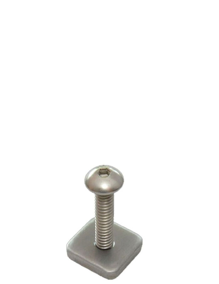 LONGBOARD SCREW AND PLATE