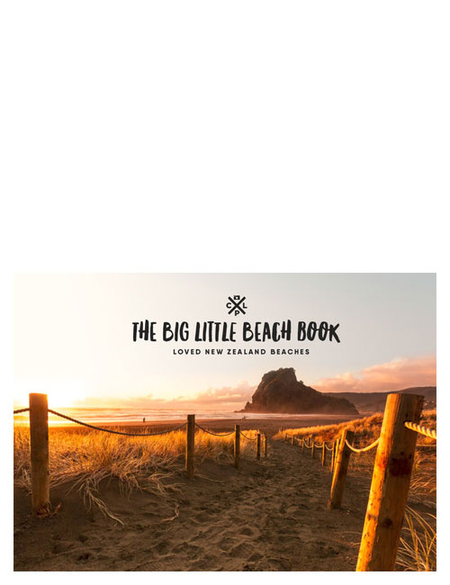 THE BIG LITTLE BEACH BOOK