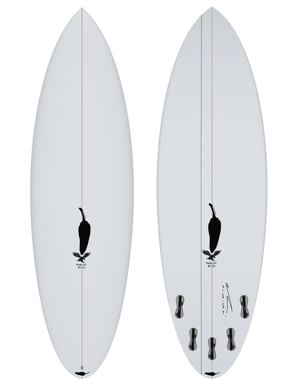 Chilli surfboards shop rarest bird