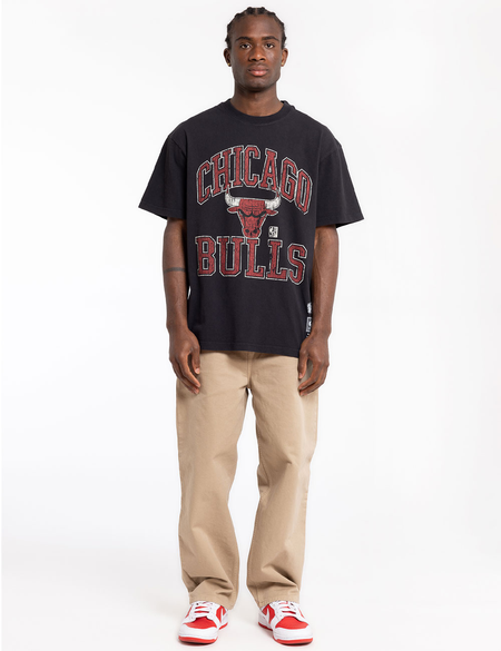 VINTAGE HWC IVY ARCH BULLS TEE