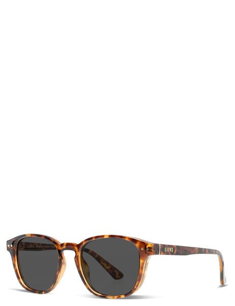 PHOENIX - DEMI POLARIZED-mens-Backdoor Surf