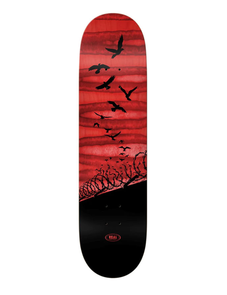 SET FREE SPECRUM DECK