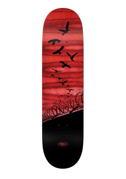 SET FREE SPECRUM DECK-skate-Backdoor Surf