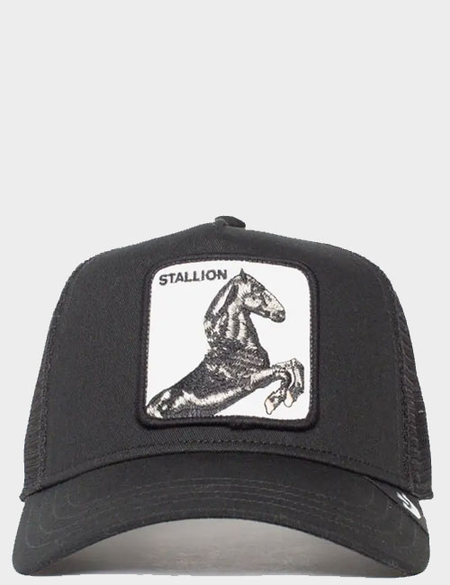 THE STALLION TRUCKER