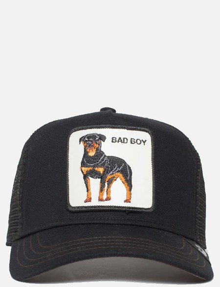 THE BADDEST BOY TRUCKER