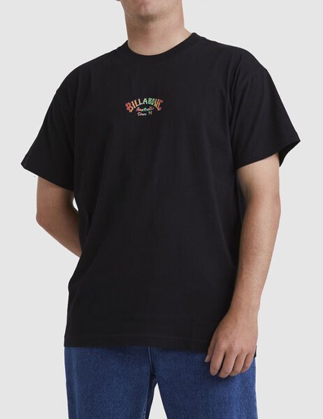 ARCH FADE TEE-mens-Backdoor Surf