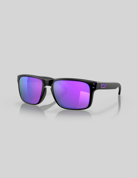 HOLBROOK - MATTE BLACK PRIZM VIOLET