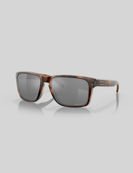 HOLBROOK XL - MATTE BROWN TORTIOSE PRIZM BLACK