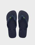 BRAZIL JANDAL 