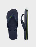 BRAZIL JANDAL 