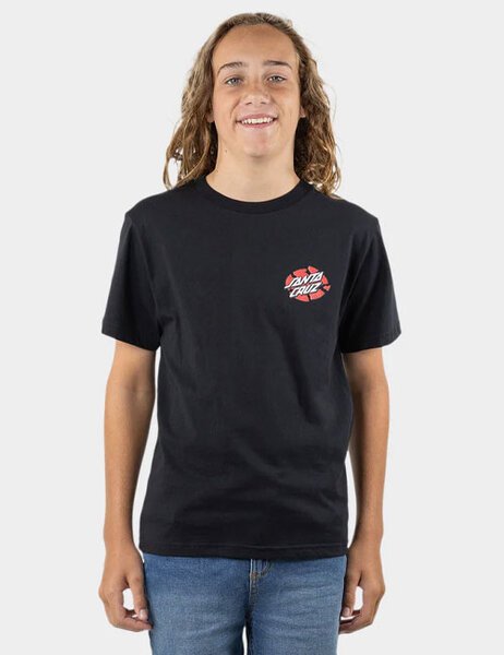 BOYS MEEK SC SLASHER TEE-kids-Backdoor Surf