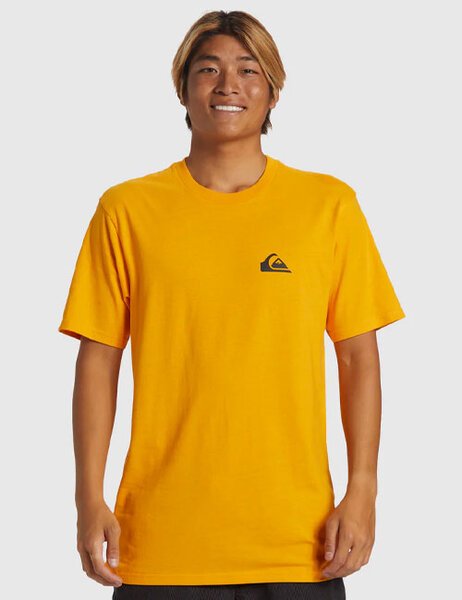 COMP LOGO DNA TEE-mens-Backdoor Surf